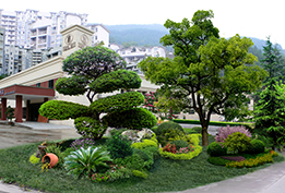 園林綠化