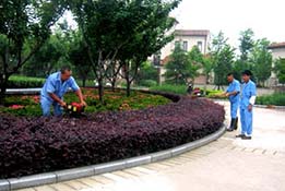 園林綠化